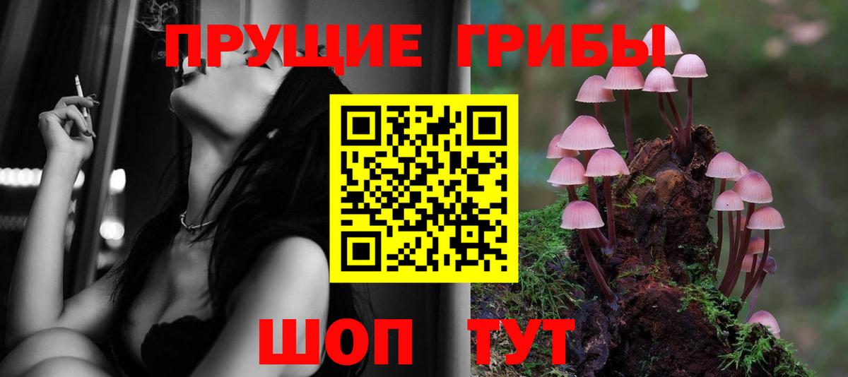 Ртищево  Псилоцибиновые грибы Psilocybine cubensis  Вход с VPN 